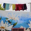 해돋이새뜰마을 이미지