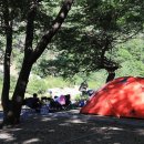 어성골 야영장 이미지