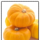 영양제분소 이미지