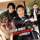 (주)닥터브릿지 이미지