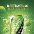 그린플럼