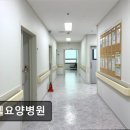 지웰요양병원 네이버블로그