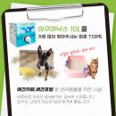 아쿠아PC방 네이버블로그