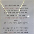 고양이분양 반하나캣 이미지