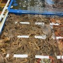 어달항회센터 이미지