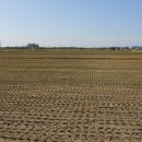 춘포면-13 이미지