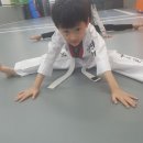 연서태권도 이미지