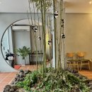 푸바오애견 이미지