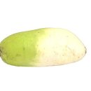 팀터틀랫 장유점 이미지