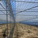 보아농장 이미지