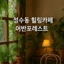 어반포레스트카페 | 성수동 감성 카페 어반포레스트 후기｜초록 속 힐링 공간 찾았다!
