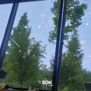 50k 반려견 유치원 이미지