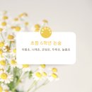 국어의봄날국어교습소