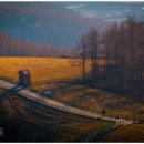 부장목장 이미지