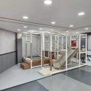 키즈태권스쿨 이미지