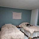 베드로슈퍼 이미지