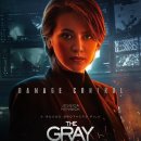 The Gray Man 이미지