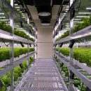 성보농장 이미지