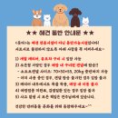 조양교회(새마을무료급식소) | 속초 붓다_분위기 좋은 속초 칵테일바 위스키바 추천 후기
