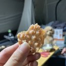 우다다(WOODADA) 이미지