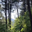 힐링별밤수목원캠핑장 | 🏕️ [서울 근교 캠핑] 힐링별밤수목원 캠핑장 명당 / 캠핑 요리 추천 / 봄 여름캠핑 (feat. 미나리 쭈꾸미...