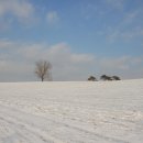 하얀목장 이미지