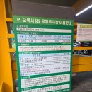 8 | 오산 오색시장 3일 8일 장날 방문후기! 제철 과일에 먹거리까지