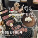 애견프라자 | [강원도 평창] 평창 여행 애견동반 한우 맛집 대관령한우프라자 (내돈내산 후기)