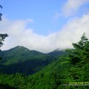 다리건너하얀집민박 이미지