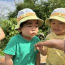 슬기농장 2 이미지