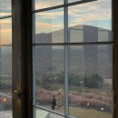 명진부동산중개 | 겨울의 제주