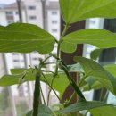 젠아이 어린이집 이미지