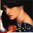 한국일보서부광고 | 마르틴 발저: 불안의 꽃 (Angstblume)