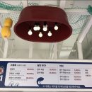 서민참치