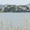 강진칠량중학교 이미지