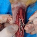 튼튼동물의료센터 이미지