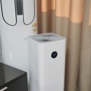 여주-0055 | 애견동반호텔 켄싱턴리조트 충주 : 강아지와 함께하는 국내여행