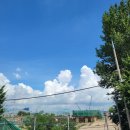 신포우리만두(봉선2호점) | 인천 신포시장 이탈리안 레스토랑 찐맛집 이뜰리...라자냐 바닐라아이스크림브라운치즈 먹은 후기 자랑