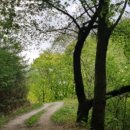 학가산우래자연휴양림 이미지