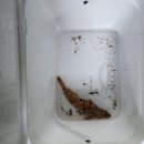 터미널길 | 여수 낚시체험 어디서 할까? 직접 가본 여수 낚시 포인트 3곳 비교, 최종 추천 포인트까지