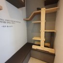 송악 동물병원 이미지