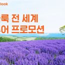 클룩