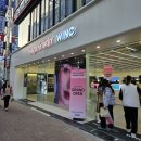 윙크 렌즈 스토어 대구동성로점 | 대구 렌즈 스토어 윙크 WINC 동성로점 오픈이벤트 선착순 무료 선물 후기