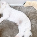 꿈나라유치원 앞 이미지