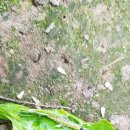 황보농장 이미지