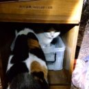 모래 공중화장실 이미지