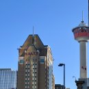 대세차이나 행정사무소 | 시차적응 실패한 김에 캘거리 KOODO 통신사 개통과 SIN 넘버 발급 / 캐나다 워홀