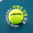앨커미스트 | 헤드 코리아 (HEAD KOREA) 이벤트 당첨 후기 - 테니스 동호회 선착순 100팀 테니스공 1000캔 무료 증정