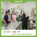 진안고원 새싹삼