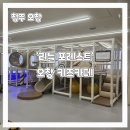 포레스트빌딩 | 청주 무인 키즈카페 오창 키즈카페 '리틀포레스트' 대관형 키즈카페